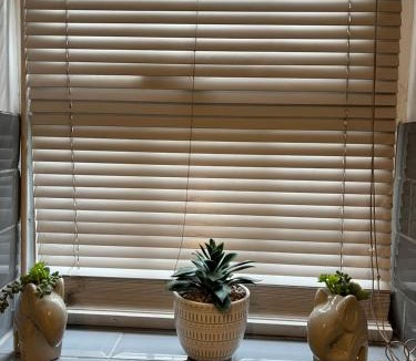 Warrington Apartment | Cairo Street Ground New