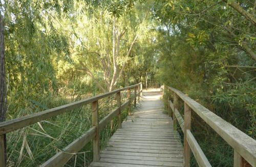 Ivars D'Urgell Apartment | Cal Jaumet del Ton