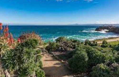 North Fremont Street House | CaliRoots Motorhome