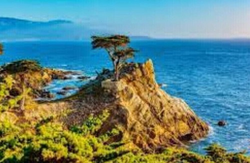 North Fremont Street House | CaliRoots Motorhome