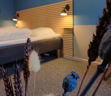 Sæby Hotel | Calm Room 10 on pedestrian street Saeby