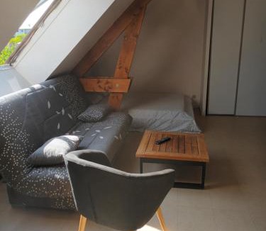 Madeleine - Saint-Leonard Apartment | Calme d'Angers