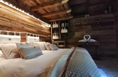Sixt-Fer-a-Cheval Ski Chalet | Calme et sérénité - établissement classé