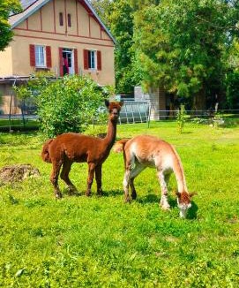 Maxilly-sur-Saone Bed & Breakfast | Calme et Volupté