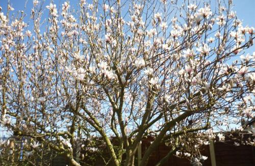 Calne Bed & Breakfast | Calne Bed and Breakfast