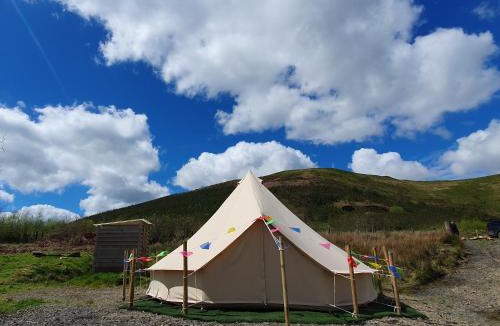 Llandovery Other | Calon Y Goedwig Glamping