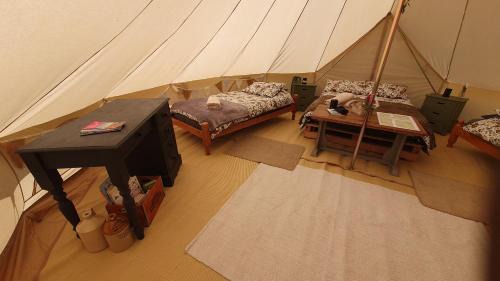 Llandovery Other | Calon Y Goedwig Glamping