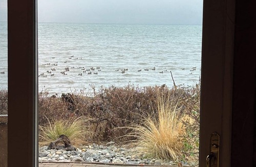 Camano Island Cabin | Camano Waterfront Beach Log Cabin