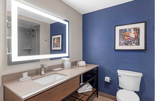 Roanoke Hotel | Cambria Hotel Northlake Conference Center - Roanoke