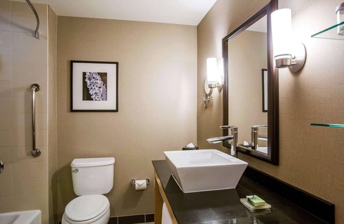 Rapid City Hotel | Cambria Hotel Rapid City near Mount Rushmore