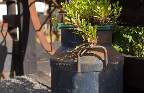 Leamington Cottage | Cambridge Coach House