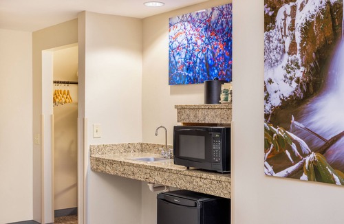 Tannersville Hotel | Camelback Resort