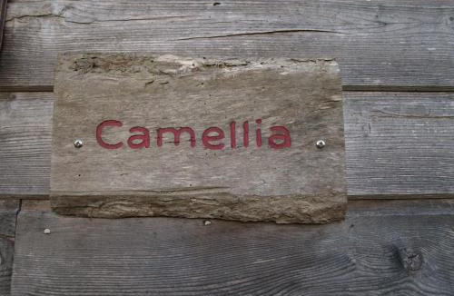 Cherbonnieres House | Camellia