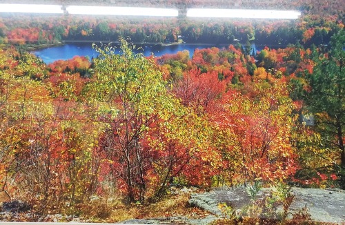 Town of Webb House | Camp Balsam Old Adirondack camp