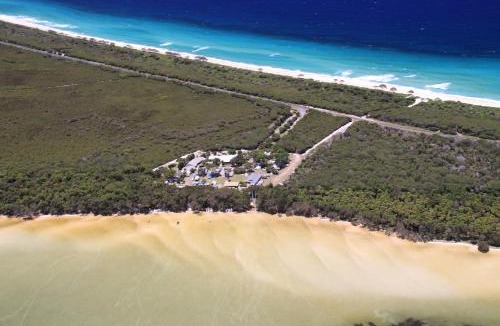 Forster Other | Camp Elim