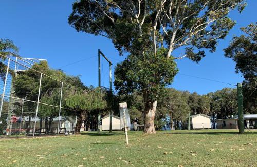 Forster Other | Camp Elim