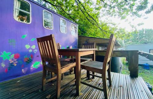 Llandogo Other | Camp Hillcrest Horsebox