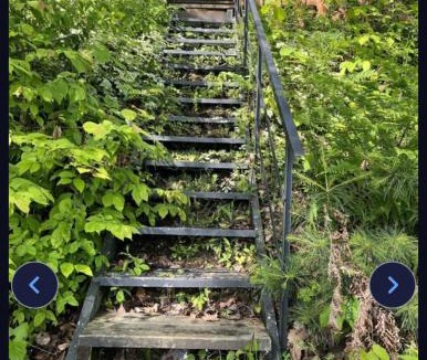 Colton House | Camp Lake Bear