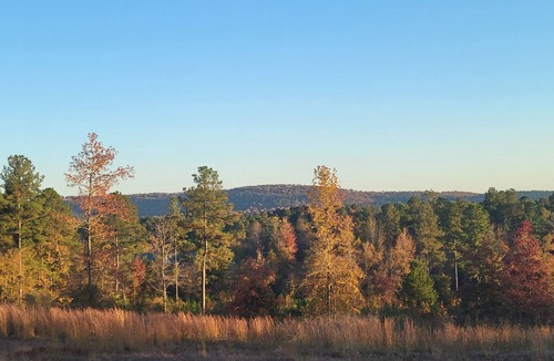 Kirby RV Rental | Camp less than a mile from Kirby Landing, Cowhide Cove Mountain Views