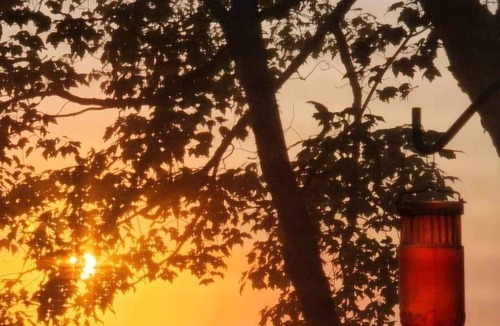 Franklin Cottage | Camp on Abrams Pond in Eastbrook ME