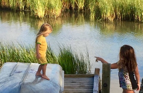 Palacios House | Camp Paw Paw: Relaxing, Sunning,,Heated Pool, Kayaking :Winter Texans Welcome