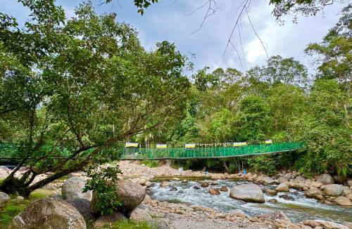 Tapah Other | Camp Site