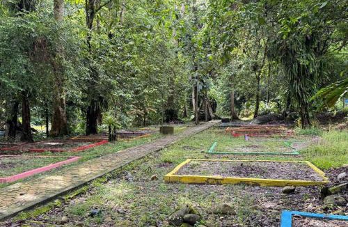 Tapah Other | Camp Site