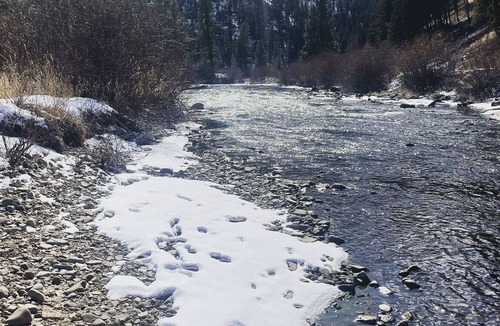 Conner RV Rental | CAMP SULA - RV SITE # 8