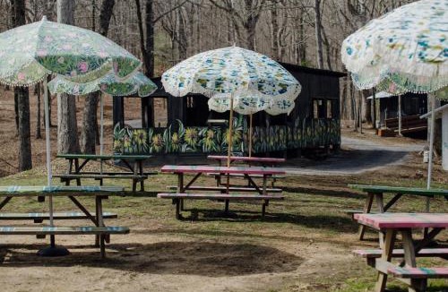 Tracy City Other | Camp Swann
