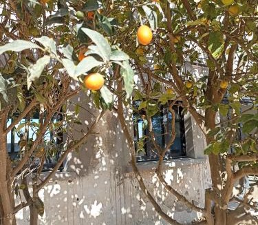 Bompas House | Campagne et Mer