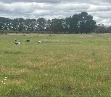 Mia Mia Villa | Campaspe Valley View Farm Stay