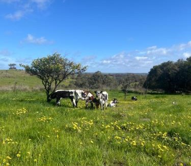 Mia Mia Villa | Campaspe Valley View Farm Stay