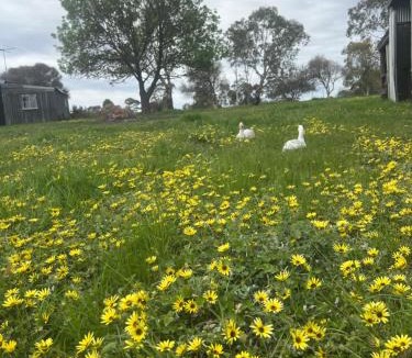 Mia Mia Villa | Campaspe Valley View Farm Stay