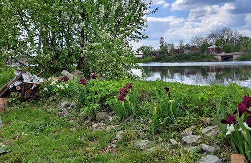 Campbellford House | Campbellford Studio Unit Apt 5