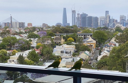 Camperdown Apartment | Camperdown 2 bed, 2 bath, pools & gyms, cafes, shops, transport, parking