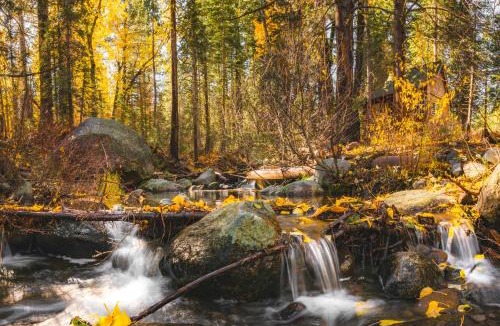 Truckee House | Campfire Ranch All-Inclusive Lodge