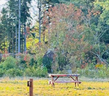 Forks Other | Campground near Olympic NP