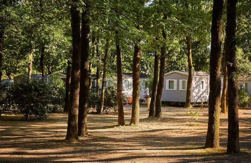 La Boissiere-de-Montaigu House | Camping Heart of Vendée* - Classic XL 3-room mobile home for 4 people