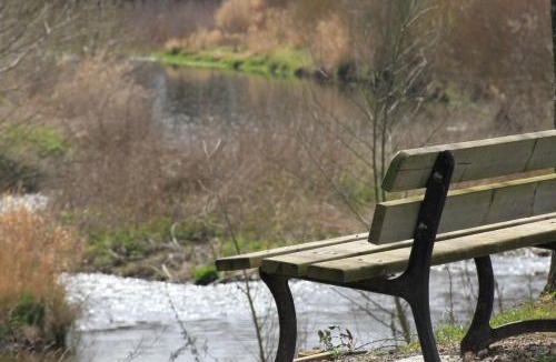 Saint-Didier-sur-Chalaronne Other | CAMPING DE LA CHALARONNE