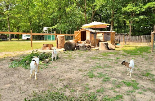 Combreux House | Camping Étang de la Vallée* - Nature Lodge 3 rooms 4 people Without sanitary facilities