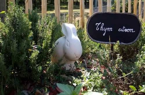 Saint Sozy House | Camping 4 étoiles - Piscine - eeciag