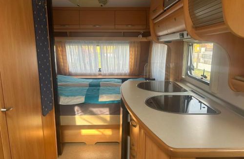 Cadenazzo Other | Camping Alex