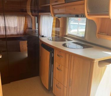 Cadenazzo Other | Camping Alex