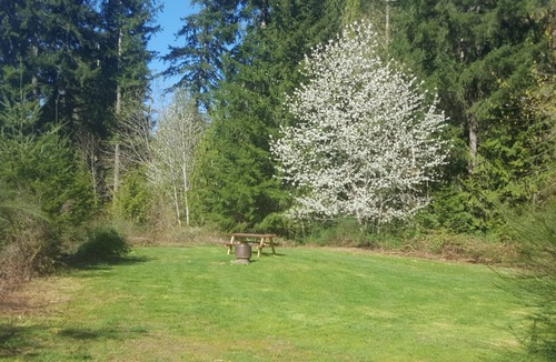 Ryderwood RV Rental | CAMPING AND FISHING .