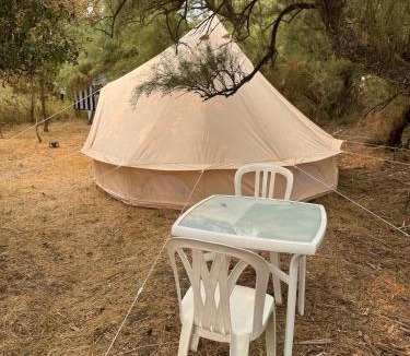 Esnandes Other | CAMPING ANIMAL KING