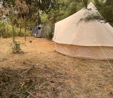 Esnandes Other | CAMPING ANIMAL KING