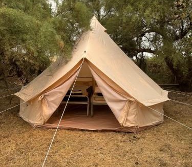 Esnandes Other | CAMPING ANIMAL KING