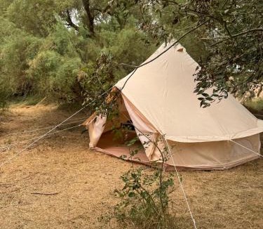 Esnandes Other | CAMPING ANIMAL KING