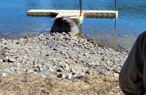 Cusick RV Rental | Camping at the River