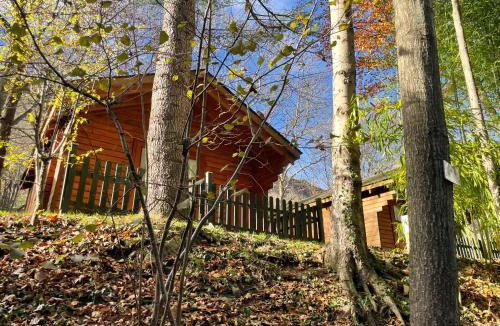 Era Bordeta Other | Camping Bedura Park